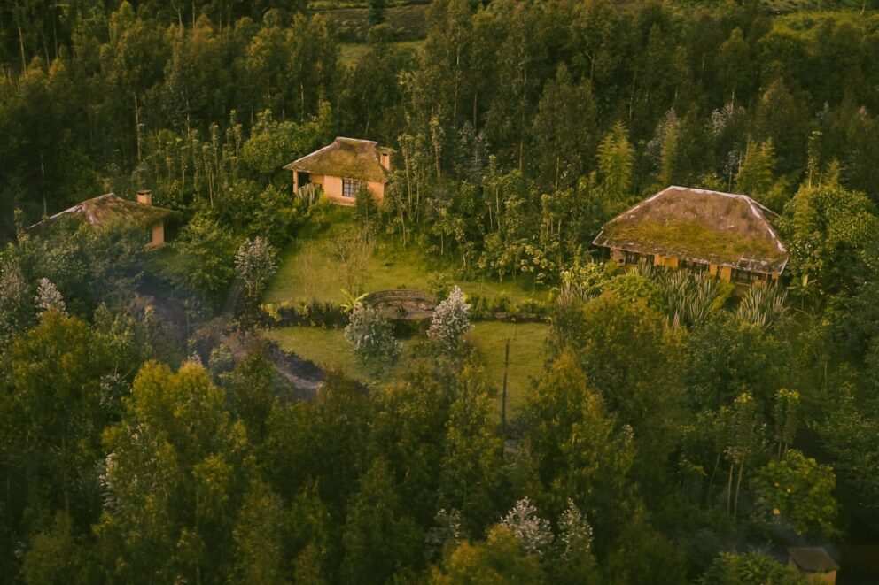 Three chalets in a lush forest in Rwanda