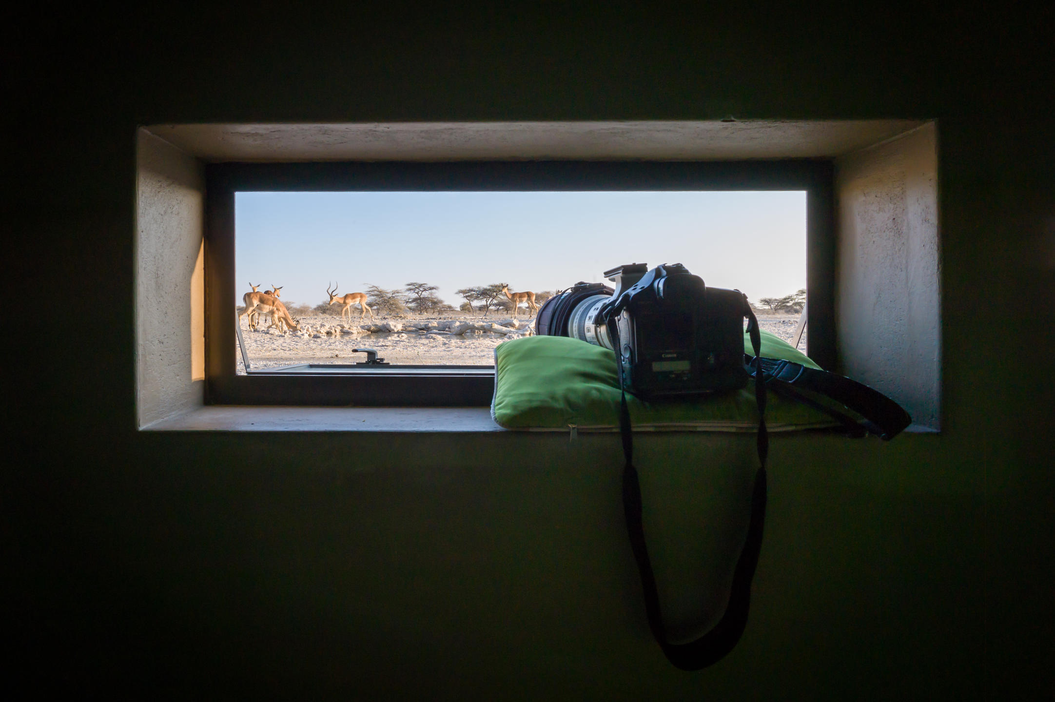 View of a camera at the Onkolo Hide at Onguma Private Game Reserve