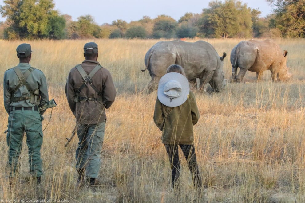 Three people looking at two rhinos in the wild