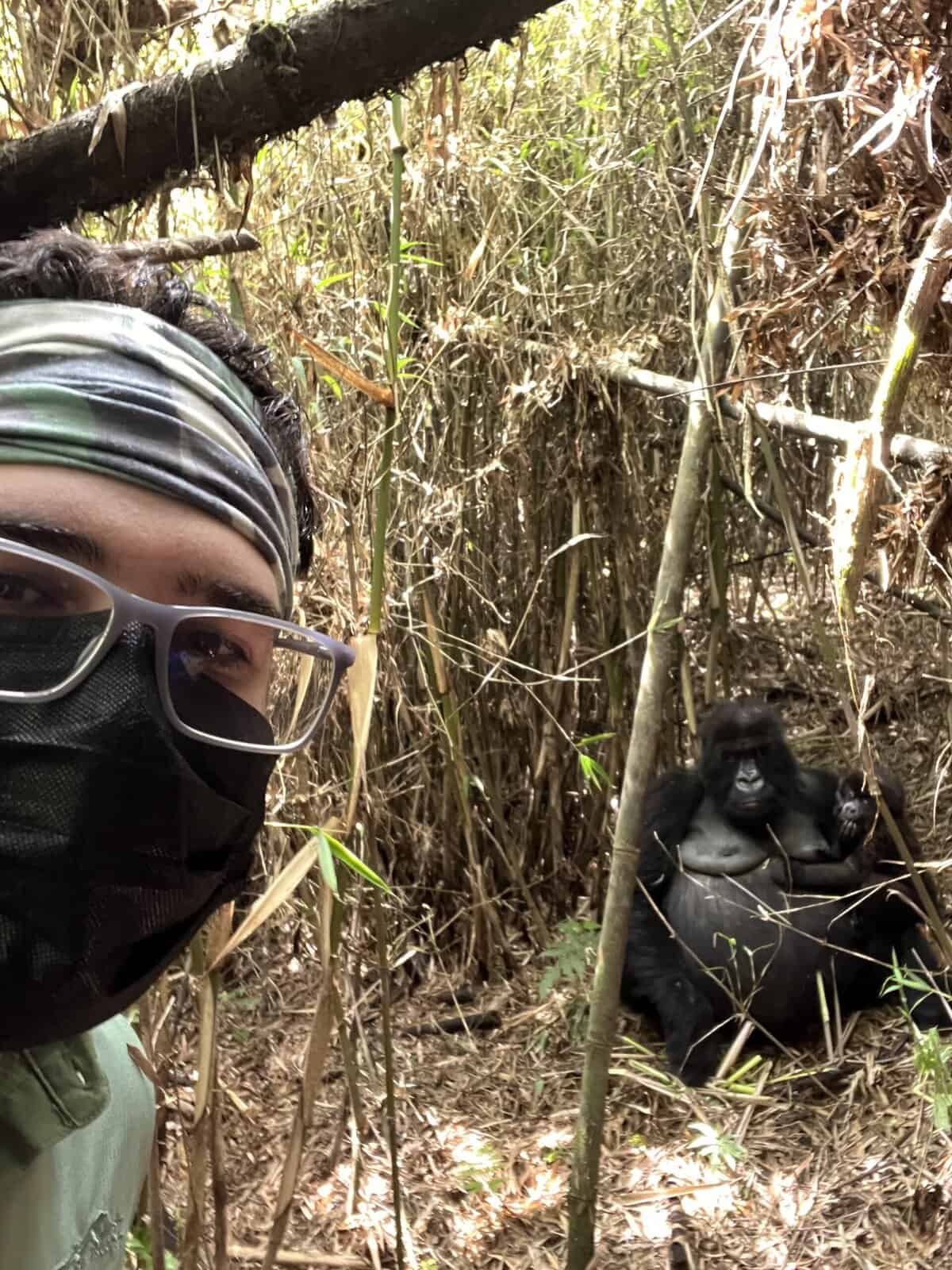 A selfie with a gorilla while mountain gorilla trekking in Rwanda