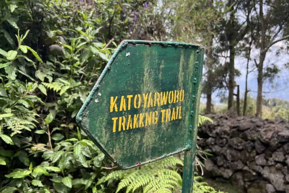 Katoyarwobo trekking trail in Volcanoes National Park in Rwanda. This can be seen when mountain gorilla trekking in Rwanda. 