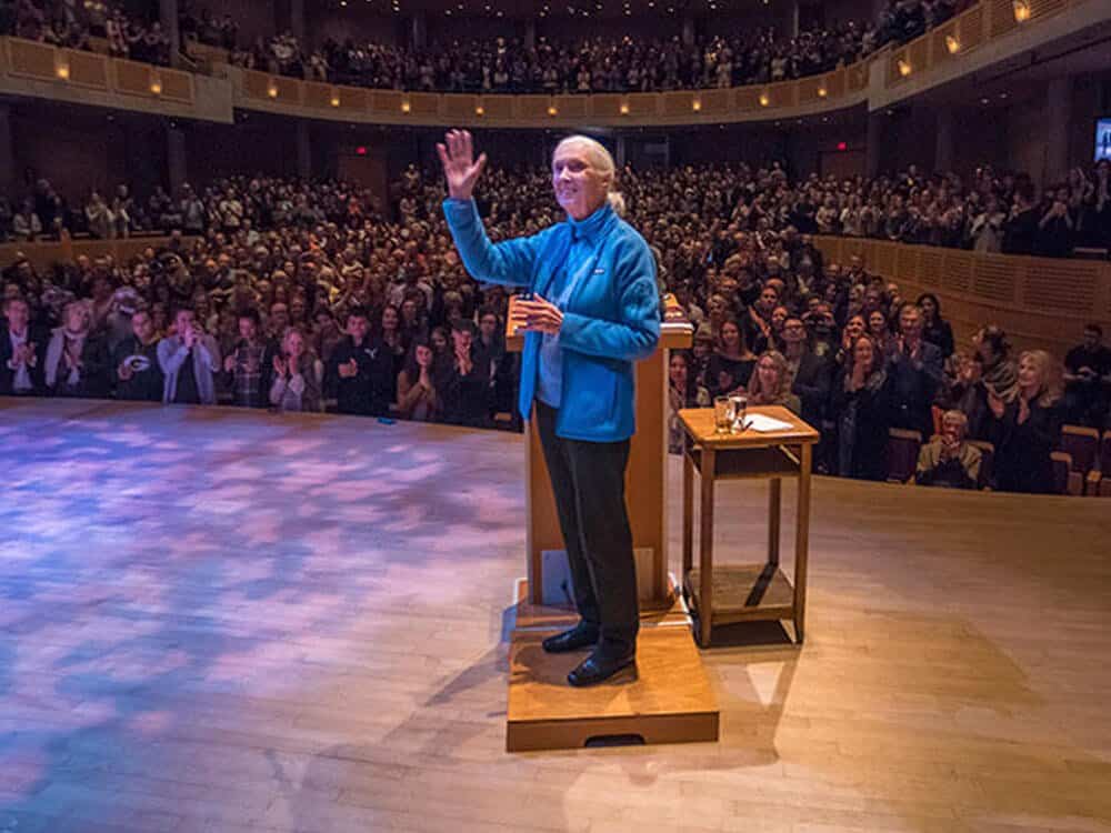 Jane Goodall at a lecture tour as part of her global advocacy