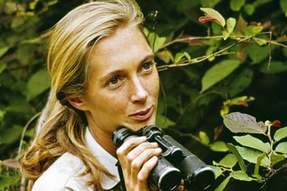 Jane Goodall in 1965 in Tanzania 