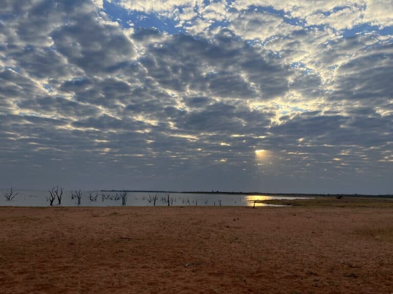 View of the dead trees in the shallow water of Lake Kariba in Zimbabwe.