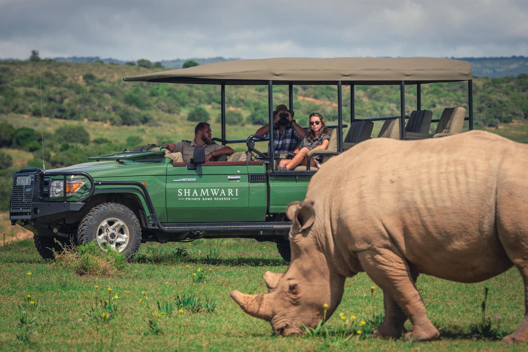 Seeing a rhino in Shamwari along the Garden Route in South Africa