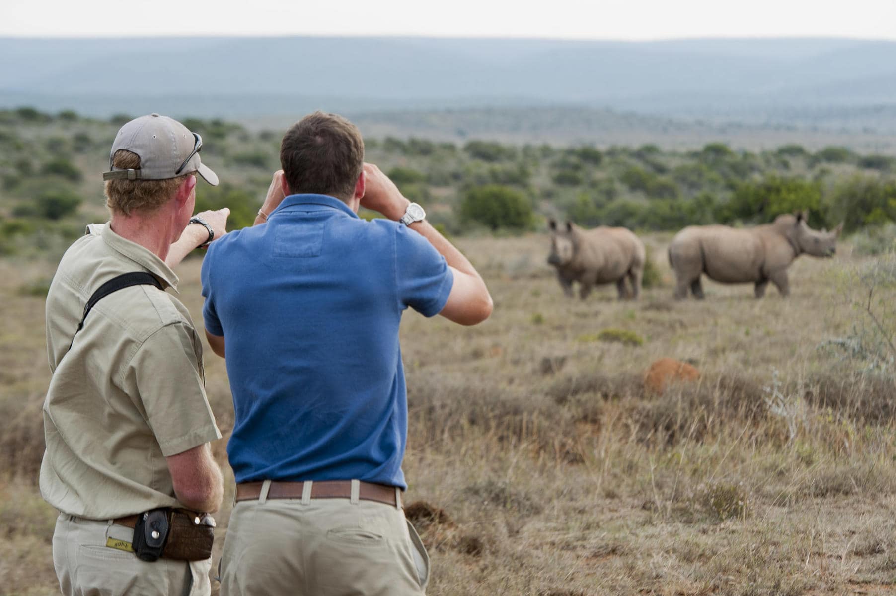 Rhinos spotted on a game walking safari. One of the many South African animals you can see on safari.