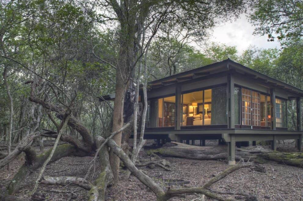 View of suit at andBeyond Phinda Forest Lodge