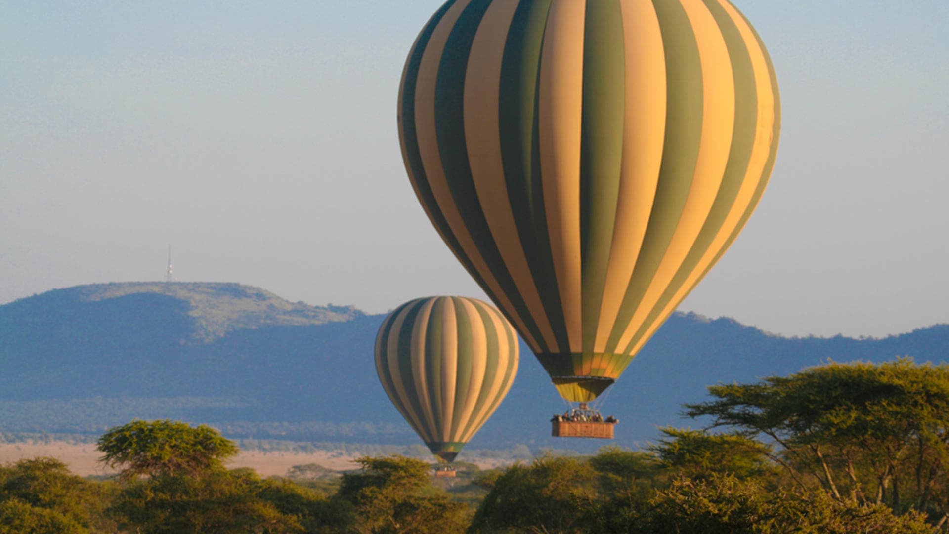 Forest Chem Chem safari Tarangire National Park, Image credit, Forest Chem Chem via Wetu