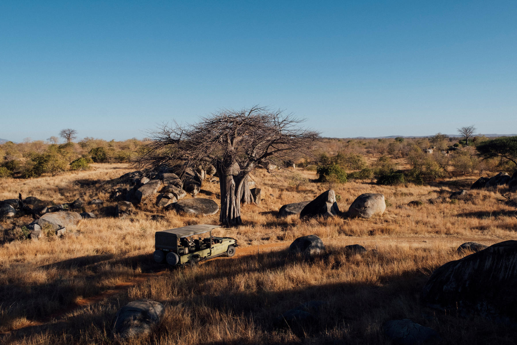 Game drive in Ruaha National Park in Tanzania