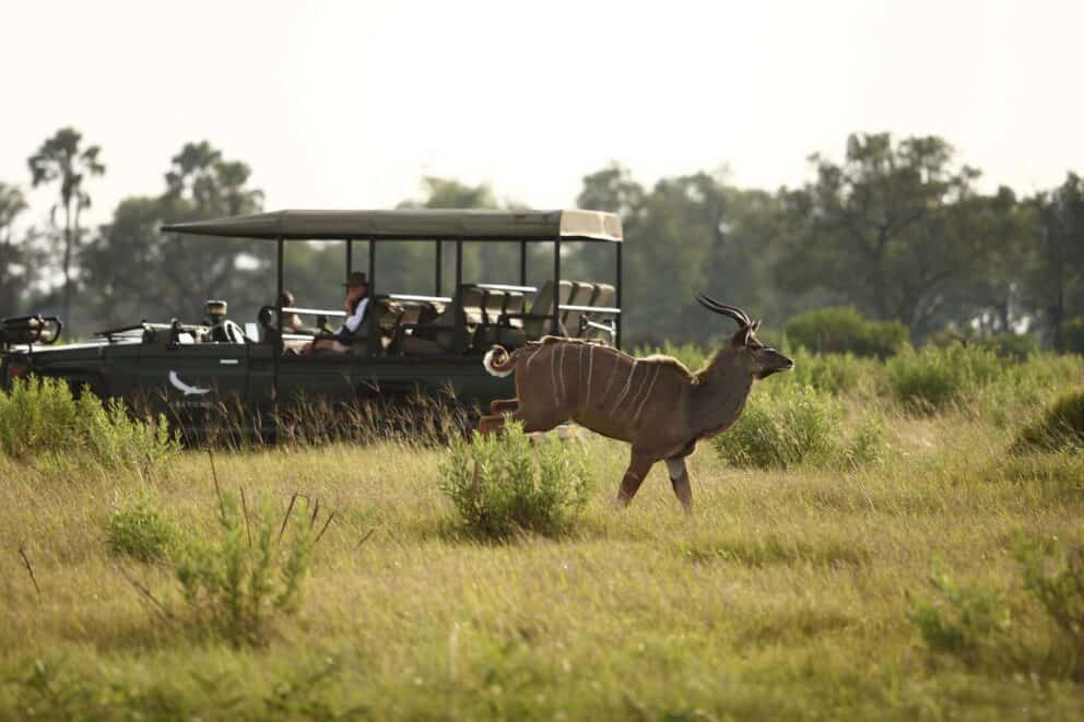 Game drive in Botswana.