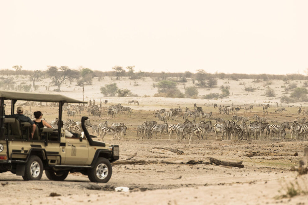 Game drives in Makgadikgadi Pans National Park