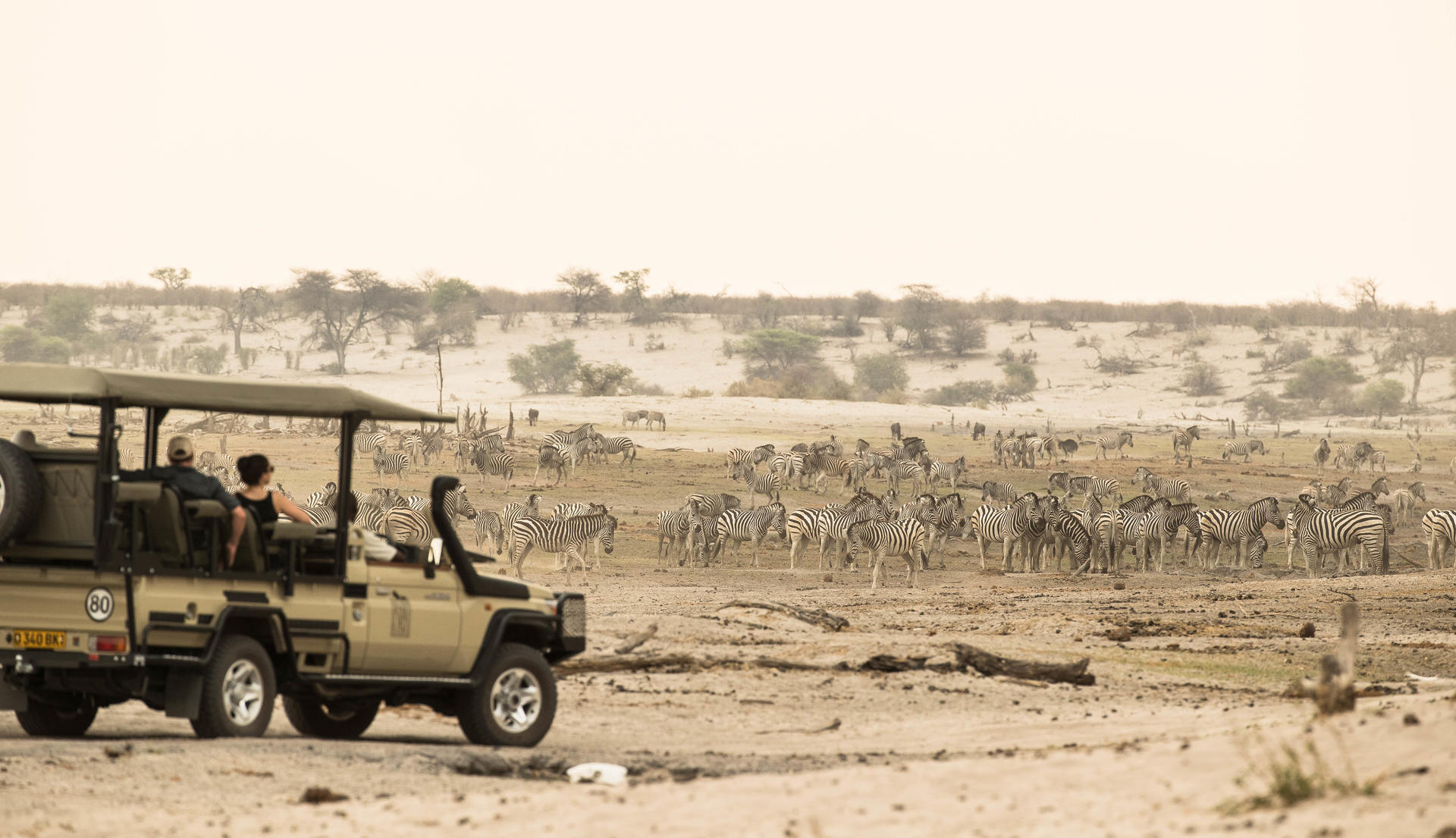 Game drives in Makgadikgadi Pans National Park