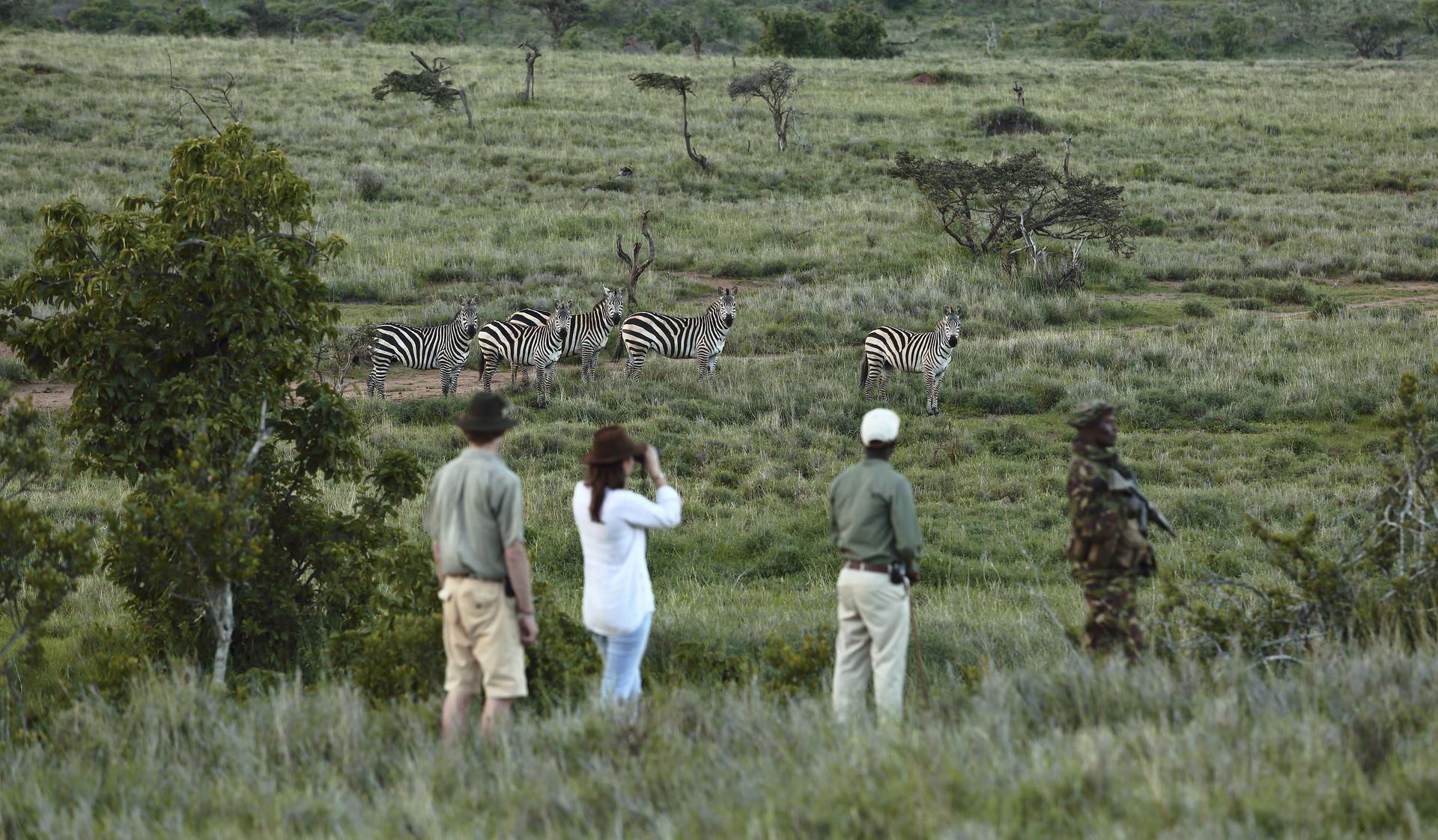 Walking safari in Kenya observing wildlife. A Kenya safari packing list should be light and flexible