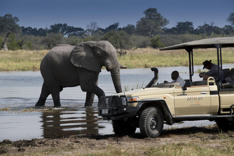 Elephant sighted on a safari in Moremi Game Reserve, Botswana. Moremi is one of the many national parks in Africa