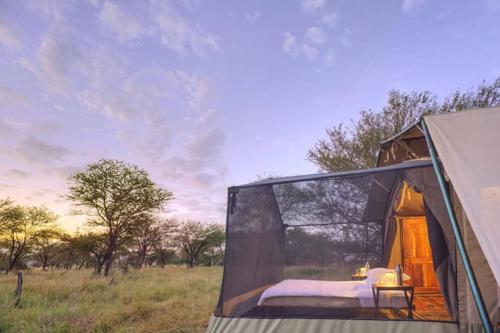 Tent Extension of a mobile camp made for star gazing