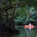Kayaking in the Congo River in the Congo Basin