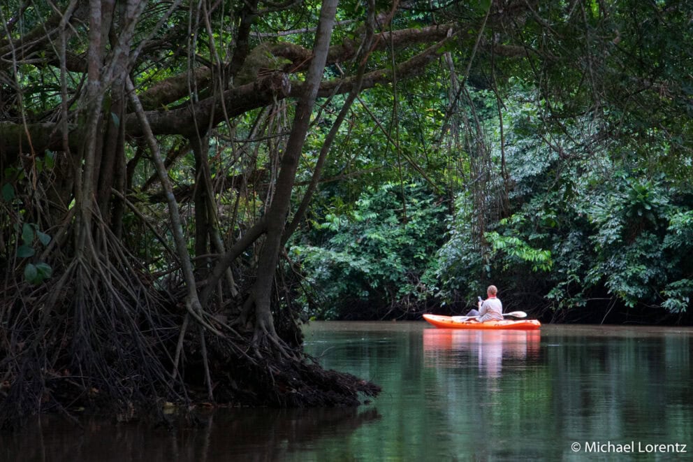 Kayaking in the Congo River in the Congo Basin