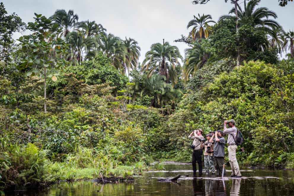 Travellers exploring the Congo Basin