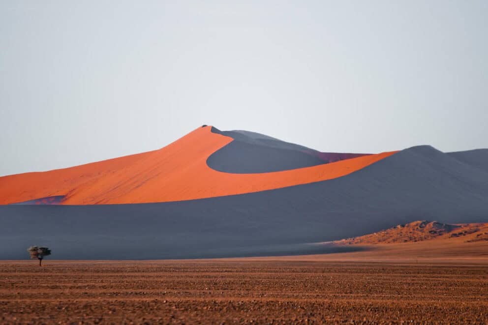 The red dunes of Sossusvlei in Namibia on a desert safari experience. 