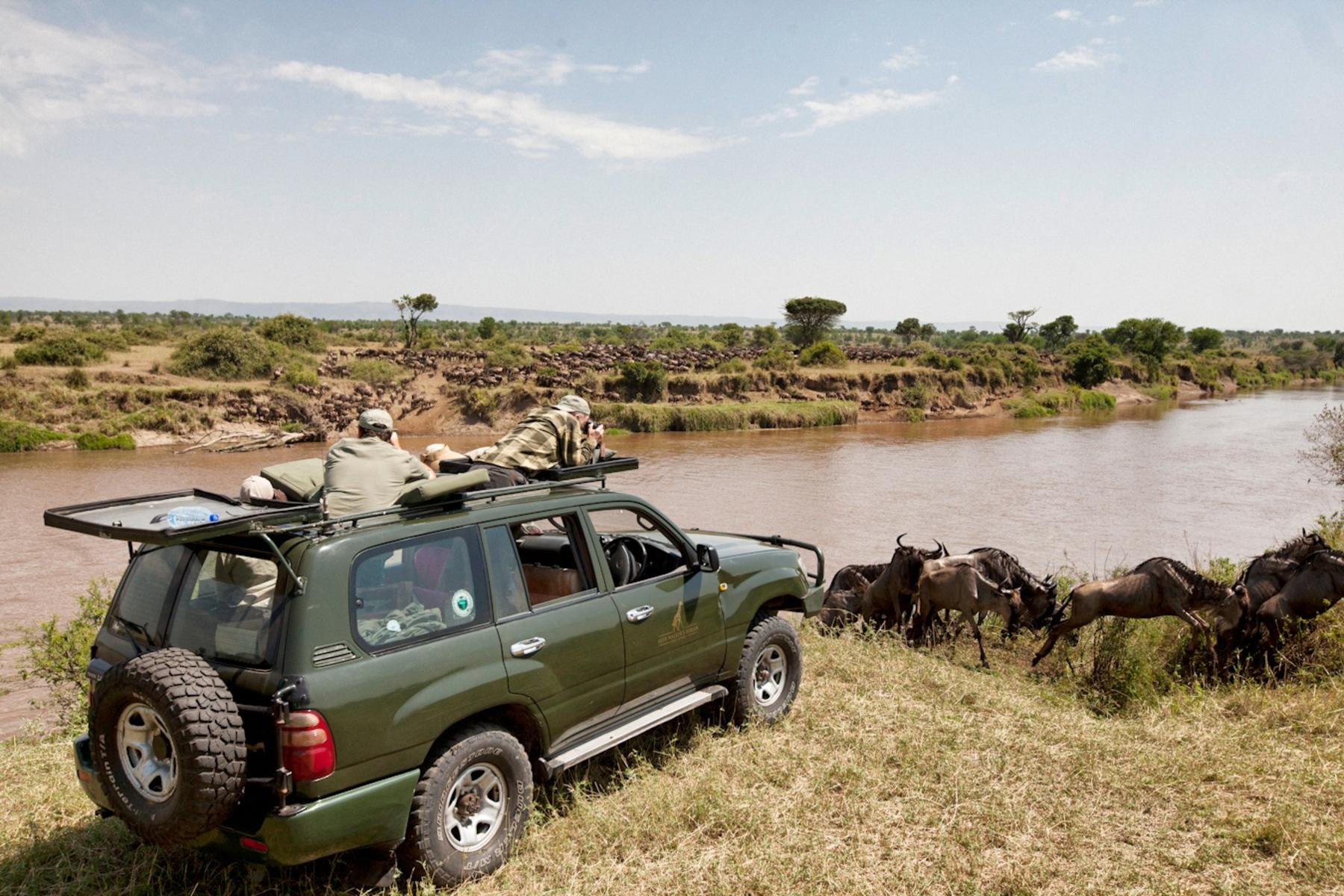 Migration game drive at Mara River 