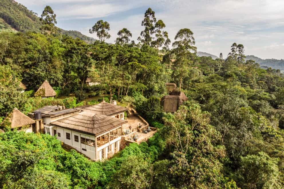 Bwindi Lodge