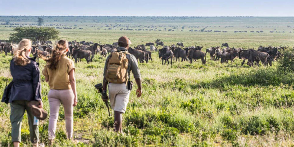 Walking safari in Tanzania | Photo credit: Mwiba Lodge