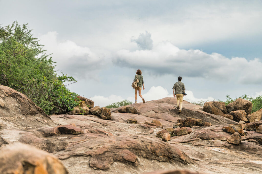 Walking Safaris | Photo Credits - Mwiba Lodge