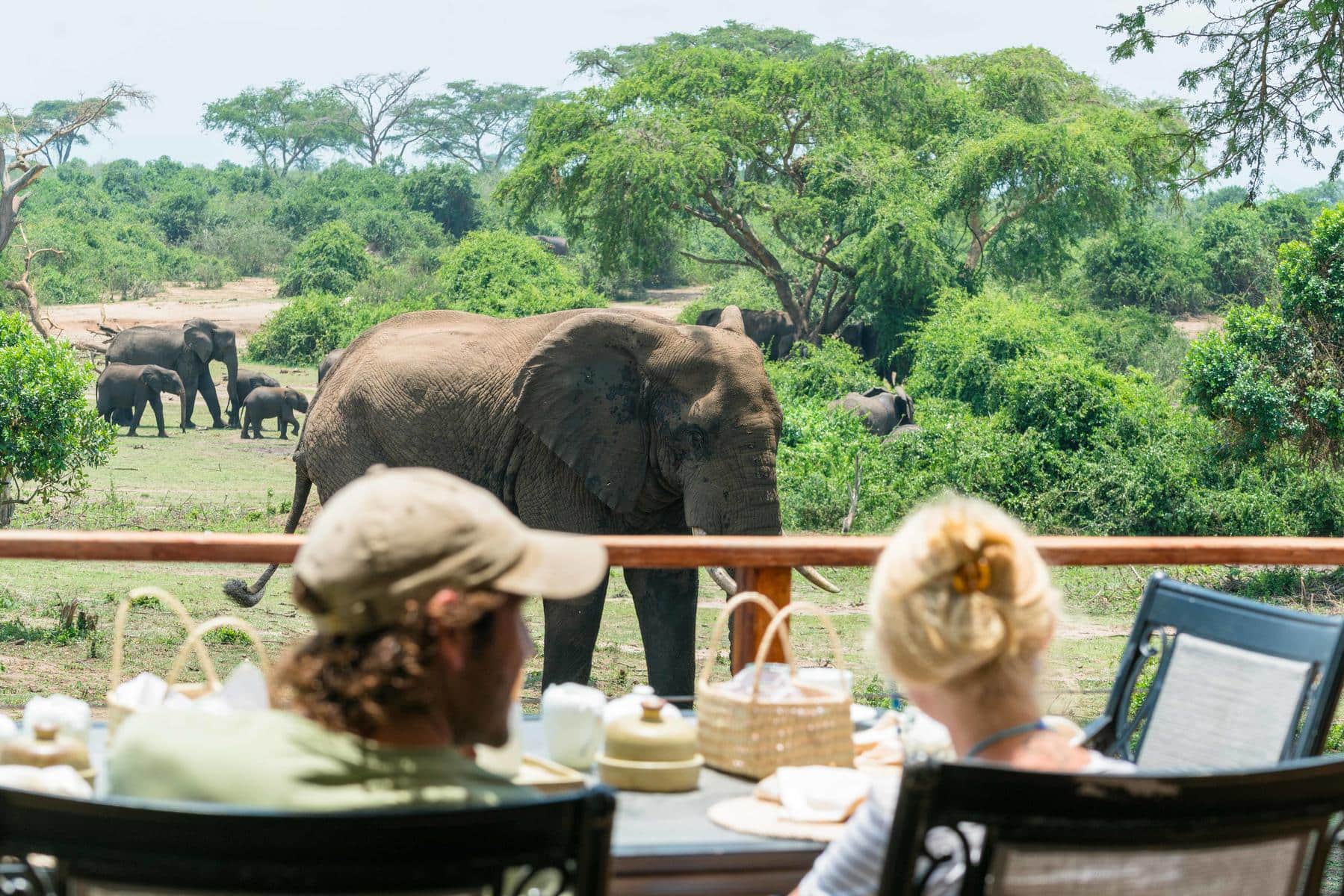 Couple dining on a deck with an elephant coming to greet them from the bush.