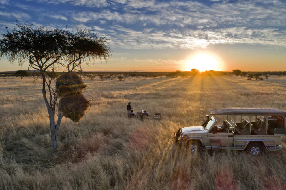 Savannah grasslands at sunset with safari vehicle