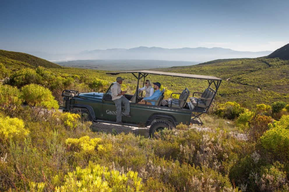 Game drive through the fynbos of the Grootbos Private Nature Reserve
